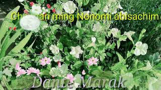 Chengariming Nonomi A'bisachim | Dante Marak | Mp3 album song