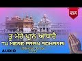 ਤੂ ਮੇਰੇ ਪ੍ਰਾਨ ਆਧਾਰੈ tu mere paran adharai gurbani kirtan taal rupak gurbanikirtanlive