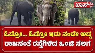 Wild Elephant Spotted In Belagavi Streets | ಖಾನಾಪುರ ತಾಲೂಕಿನ ಘೋಟಗಾಳಿ-ರಂಜನಕುಡಿ ರಸ್ತೆಯಲ್ಲಿ ಕಾಡಾನೆ