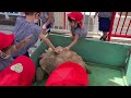 2021.9.7 あか組・移動動物園の様子