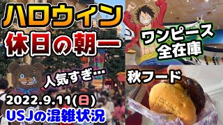 【USJハミクマ大人気‼︎】何時に行けばいい？ハロウィンホラーナイト開幕後、朝一の休日はどうなる？ワンピース全在庫や秋フードをご紹介♪2022年9月11日日曜日、ユニバーサルスタジオジャパンの混雑状況