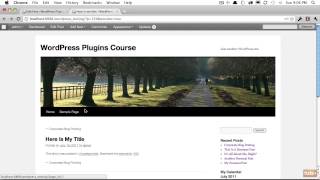 2 Filter Hooks - Tutorial writing plugin wordpress-
