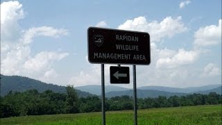 Rapidan River:  Exploring the Rapidan Wildlife Management Area PART ONE