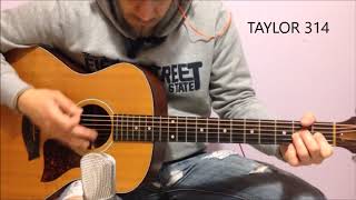 TAYLOR 314 vs 410ce