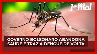 Governo Bolsonaro abandona saúde e traz a dengue de volta