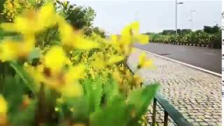 naya raipur : beautiful Roads