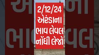 Arenda na bhav, ૨/૧૨/૨૪, એરંડા ના ભાવ આજના,  rajkot marketing yard and patan marketing yard #shorts