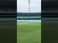 touching grass at sydney cricket ground shorts