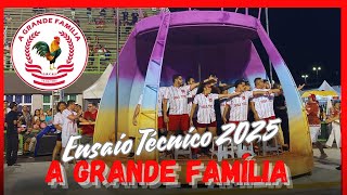 A GRANDE FAMÍLIA 2025 | ENSAIO TÉCNICO | CARNAVAL DE MANAUS