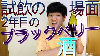 2年目のブラックベリー酒を試飲しました!!