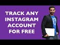 How To Track Instagram Followers (Free Analytics Tools)