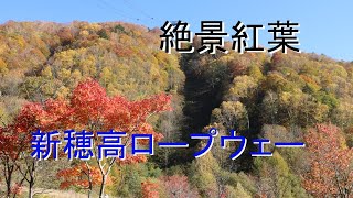 秋の一日・絶景紅葉「新穂高ロープウェー」