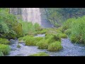 圧巻 大迫力の神川大滝と神秘的な清流のほとり。絶景と癒やしの3時間。【4k映像 自然環境音／asmr】心身のリラックス、眠れない夜や集中用bgmにどうぞ。