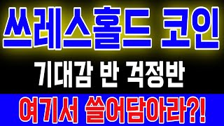 [쓰레스홀드 코인] 기대감 반 걱정반 여기서 쓸어담아라?!