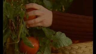 Mcleod's Daughters S1E13.1