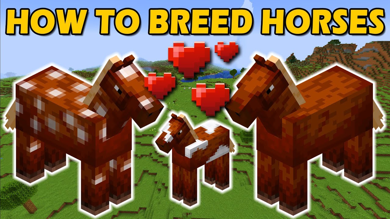 How To Breed Horses In Minecraft - The Perfect Breed - YouTube