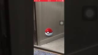 pokemon go-精靈寶可夢-雪拉比第一次捕捉紀念