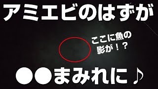 アミエビのはずが⚪︎⚪︎まみれ（笑）見釣りたまらん♪