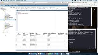 PGAdmin4 with Postgresql in Docker Installed.