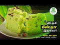 பிஸ்தா பர்பி | Pista Barfi Recipe in Tamil | பிஸ்தா பர்பி Recipe