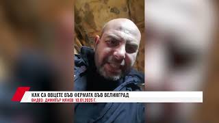 КАК СА ОВЦЕТЕ ВЪВ ФЕРМАТА ВЪВ ВЕЛИНГРАД - ВИДЕО: ДИМИТЪР ИЛИЕВ 10.01.2025 Г