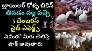 బ్రాయిలర్ కోళ్ళ చికెన్ తినడం వల్ల వచ్చే 5 డేంజరస్ సైడ్ ఎఫెక్ట్స్ | Interesting Videos