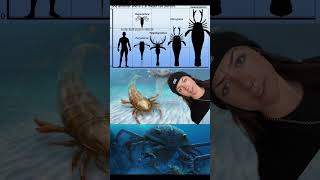 8 Ft Long Sea Scorpions