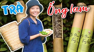 Trà Ống Lam Từ Búp Trà Shan Tuyết Cổ Thụ Sẽ Được Làm Như Thế Nào? #Shorts #Olala #HaGiang