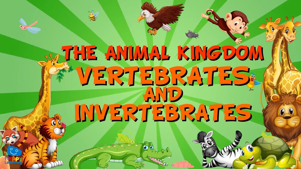 THE ANIMAL KINGDOM. VERTEBRATES AND INVERTEBRATES | Educational Videos ...