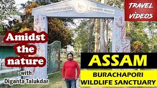 বুঢ়া চাপৰি অভয়াৰণ্য চাওঁ বলক//Bura Chapori Wildlife Sanctuary// dfocuS creative