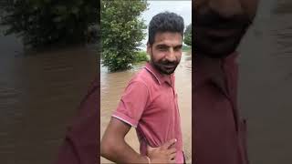 Dhani Ishar Flood Fatehabad Haryana 2023 #flood #haryana   #LiveFlood #Fatehabad #DhaniIshar