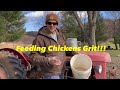 Feeding Chickens Grit? (What?/How?/Why?)