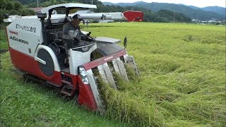 実りの秋到来、新見市で稲刈り始まる　長雨の影響で生育遅れて例年より遅いスタートに　岡山