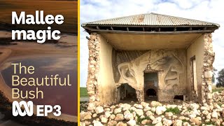 Mallee magic 'Just a magical place for photographers' 🌏📸 | Beautiful Bush | ABC Australia