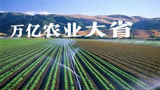 山东为何是第一农业大省？山东到底有哪些你不知道的实力？【鲁生可畏】