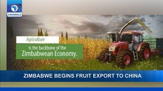 Zimbabwe Begins Fruit Export To China, Africa Graphite Export Up + More | Business Incorporated