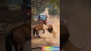 🐎🐎 horse and lion fight 😱 #youtubeshorts