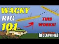 These WACKY RIG Tips Will Improve Your Fishing For Bass