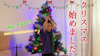 クリスマスツリーは出しましたか？我が家は頑張って出しました！！ツリーを出すのって気力がいる🎄