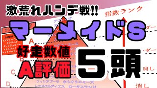 【マーメイドステークス 2021】好走数値A評価の5頭！【穴馬あり】過去の傾向2項目からピックアップ！