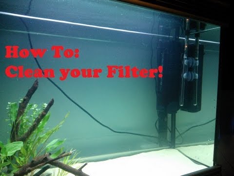 How To: EASILY clean an Aquarium Filter! How To: EASILY clean an Aquarium Filter!