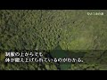 【感動する話】職場で“無能警察官”と呼ばれる俺。ある日、やり手の美人警官が「あなたほどの人が…」→そして、隠れた能力を発揮すると…