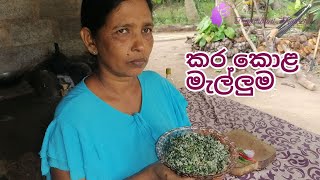 කර කොළ මැල්ලුම / kara kola malluma