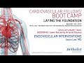 Endovascular Interventions (Jason Lee, MD)