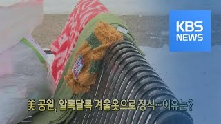 [클릭@지구촌] 미국 공원, 알록달록 겨울옷으로 장식…이유는? / KBS뉴스(News)