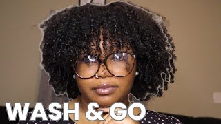 My Natural Wash & Go Hair Routine 2024