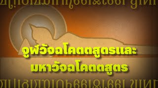 คลังพระสูตร | ❝ จูฬวัจฉโคตตสูตร และมหาวัจฉโคตตสูตร ❞