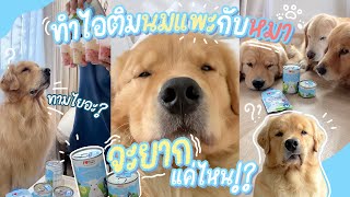 ทำไอติมนมแพะกับหมา จะยากแค่ไหน!? 🍦🐶 l Japan and Friends