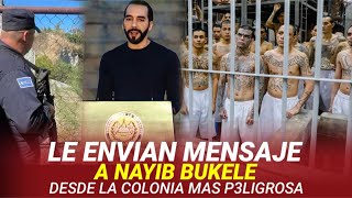 Le envian este MENSAJE a Nayib Bukele 🚨 Desde la COLONIA más PELIGROSA de El Salvador 😱