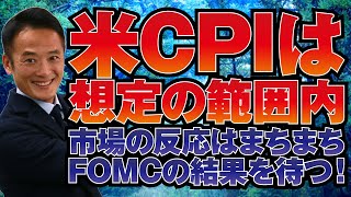 【グローバルマクロ戦略（フリー）】米CPIは想定の範囲内！市場の反応はまちまち、FOMCの結果を待つ！重要なポイントと戦略についてはメンバーシップ動画で確認を！